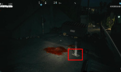 《死亡岛2》我的邮差是丧尸任务方法