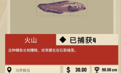 《渔帆暗涌》红袍人任务完成教程