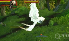 《魔兽世界》乌龟服白头老鹰位置