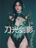 刀光剑影