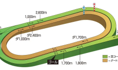《赛马娘》各赛马场地形介绍