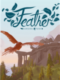 飞羽