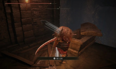 《艾尔登法环黄金树幽影》谷底森林怎么去