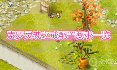 《索罗灵魂之戒》配置要求一览