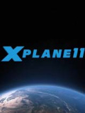 专业飞行模拟11