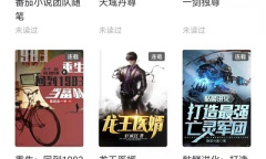 《番茄小说》导入本地书籍教程