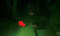 《迷失Stray》第十一章图文流程通关教程