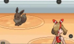 《口袋妖怪究极绿宝石5.5》全主线玩法