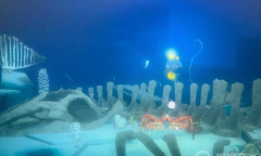 《潜水员戴夫》白色海马在哪