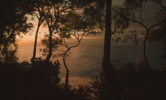 步行模拟游戏《Lushfoil Photography Sim》上架steam