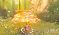 《塞尔达传说：王国之泪》精灵收集技巧教程