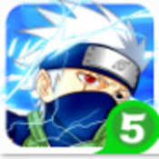 忍者龙剑传双人版