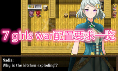 《女英雄们的堕落》配置要求一览