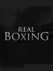 真实拳击