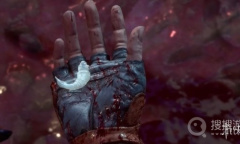 《博德之门3》白色蝌蚪介绍