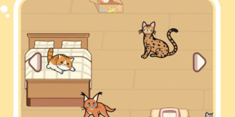 目前较火的解压