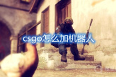 《csgo》怎么加机器人