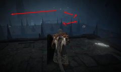 《艾尔登法环黄金树幽影》支线区域巫者村怎么进去