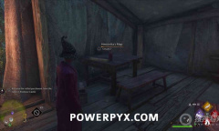 《霍格沃茨之遗》亨丽艾塔的宝藏位置一览