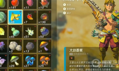 《塞尔达传说：王国之泪》石头人供奉物品介绍