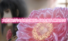 《大航海时代4威力加强版HD》地方舰队赚钱教程