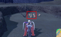 《宝可梦朱紫》撒菱招式学习器位置一览