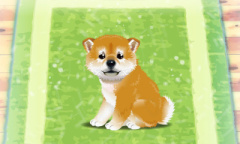 愈合你的伤口 治愈手游推荐