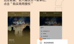 《酷狗》齐音达购买音乐版权方法介绍