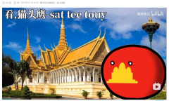 《看，猫头鹰》梗介绍