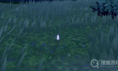 《宝可梦朱紫》墓仔狗抓取地点