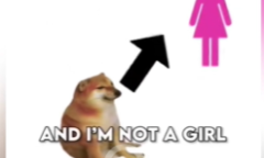 我是一个椰子梗是什么意思