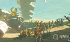 《塞尔达传说：王国之泪》精灵收集技巧教程