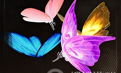 《匹诺曹的谎言》所有类型的次元蝶位置