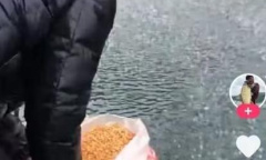 打窝仙人梗是什么意思