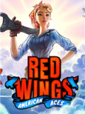 红色翅膀：美国王牌