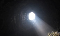 尾崎八项是什么介绍