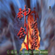 神剑伏魔录国外版