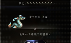 《八方旅人2》猎人宠物9星奥库塔捕获地点介绍