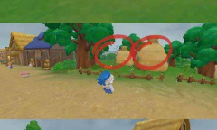 《摩尔庄园》春暖花开暖冬之花位置一览