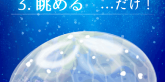 近期好玩的Q萌养成