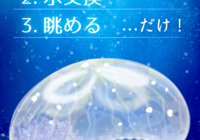 热门精选的Q萌养成手游合集