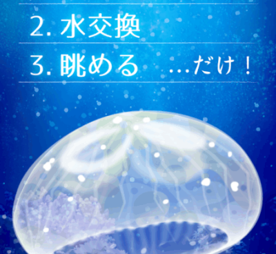 编辑推荐的Q萌养成手游合集