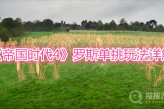 《帝国时代4》罗斯单挑玩法详解
