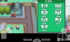 《口袋妖怪起源心金》小刚弟弟问题正确答案