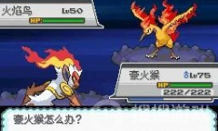 《口袋妖怪心金》金手指代码一览