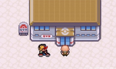 《口袋妖怪燃之智》金色王冠使用方法