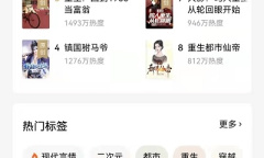 《番茄小说》导入本地书籍教程