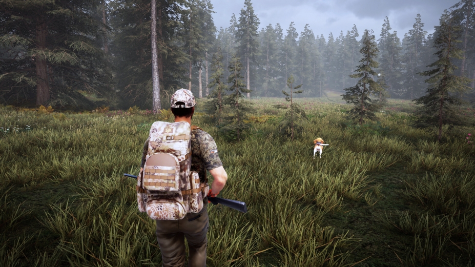狩猎模拟2
