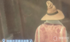 《霍格沃茨之遗》流液草在哪种植方法