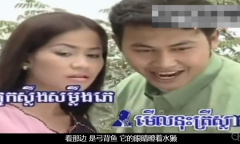 《看，猫头鹰》梗介绍